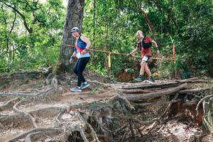 BIB: 
                            <button type="button" onclick="openModal(27719708)" class="btn btn-primary btn-sm float-right btn-popup" data-toggle="modal" data-target=".modal-high-quality">
                        <i class="fas fa-shopping-cart"></i> Add to Cart
                    </button>
                                            <button type="button" onclick="isThisMe(27719708, true)" class="btn btn-success btn-sm float-right btn-popup btn-isme hidden" data-toggle="tooltip" data-placement="bottom" title="นี่คือรูปของคุณใช่ไหม คลิกที่นี่เพื่อเอาเข้าอัลบั้ม">
                        <i class="fas fa-plus"></i> Add to album
                    </button>
                    <button type="button" onclick="isThisMe(27719708, false)" class="btn btn-warning btn-sm float-right btn-popup btn-isnotme hidden">
                        <i class="fas fa-ban"></i> Remove from album
                    </button>